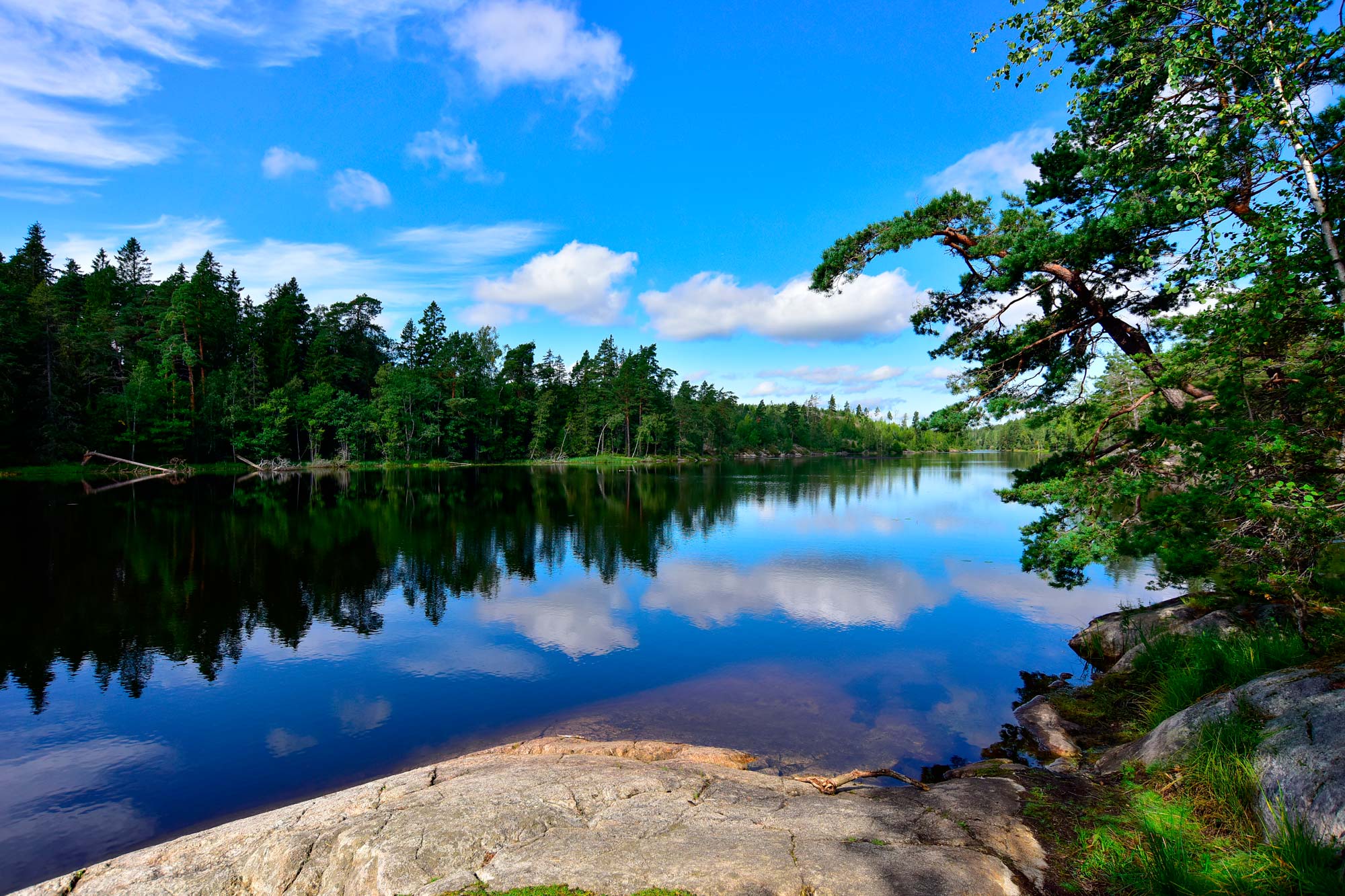 Clear lake reflexting clouds and surrounding forest in Stockholm