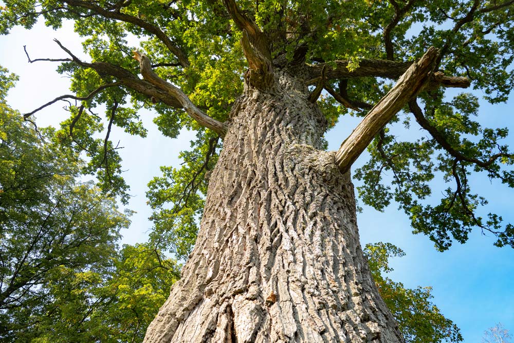 Neris regional park in Lithuania