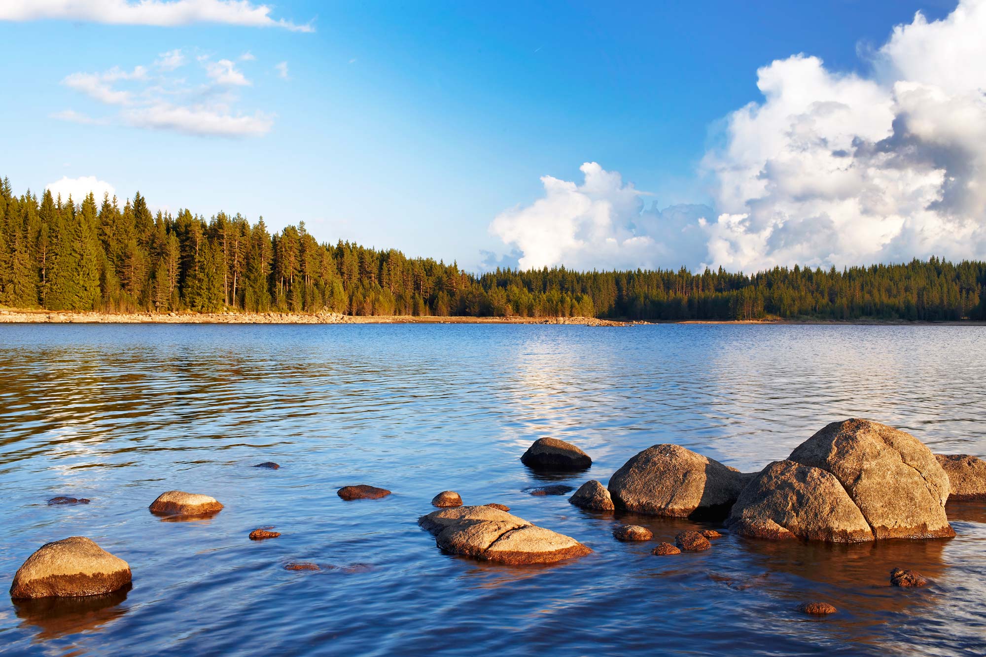 Sunrise atmosphere by a lake